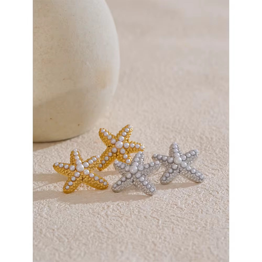 Premium stainless steel earrings with platinum plating