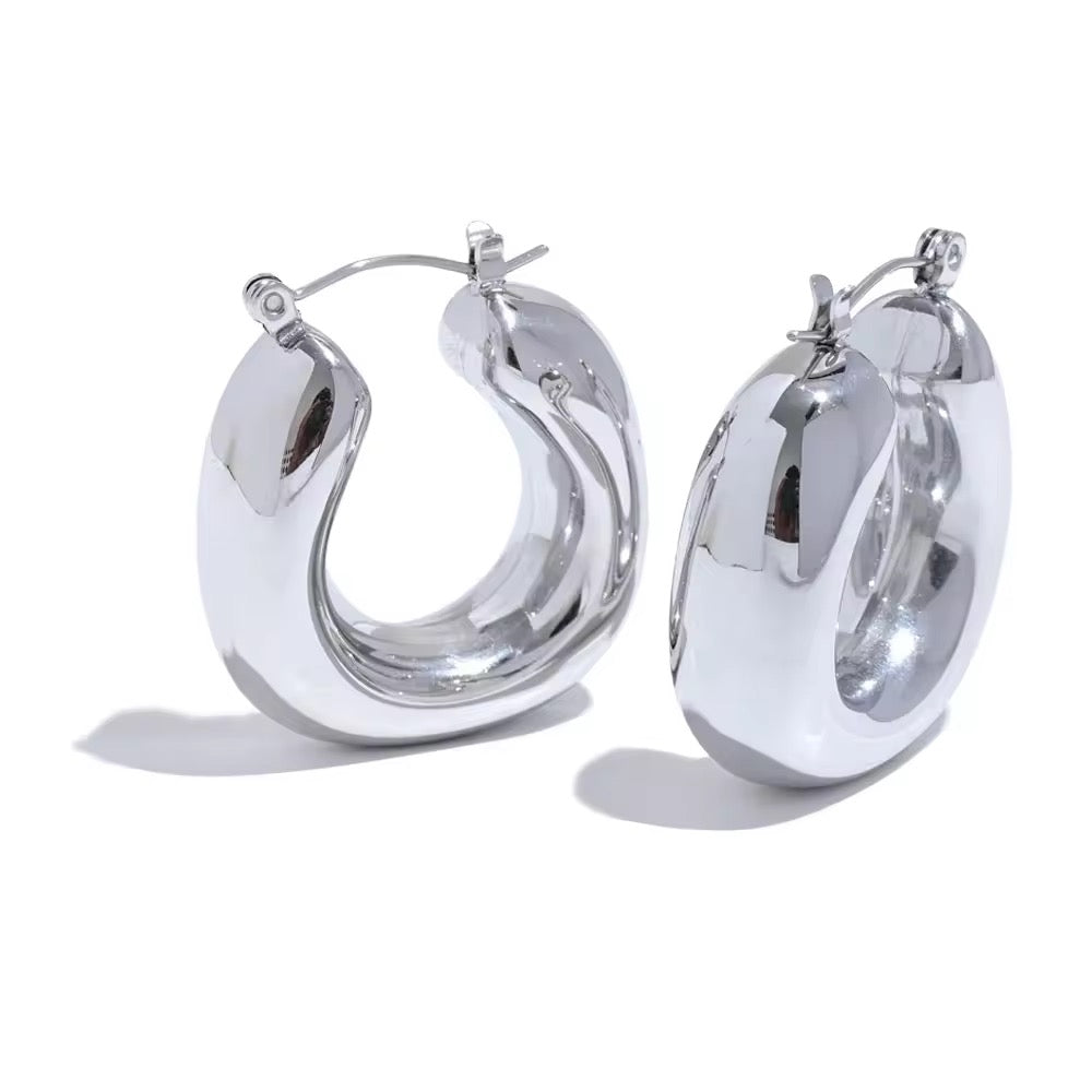 Premium stainless steel earrings with platinum plating