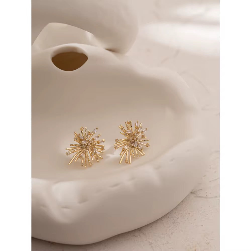 Stylish earrings for a special occasion