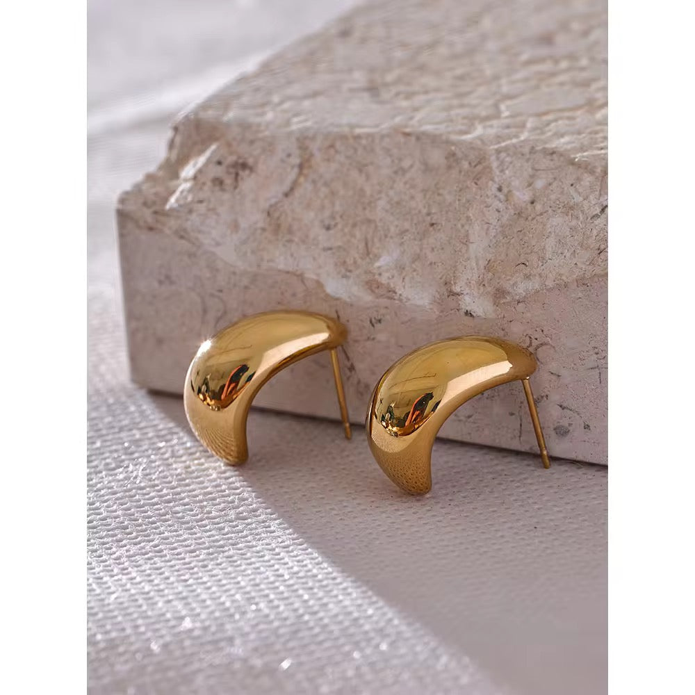 Premium stainless steel earrings with platinum plating