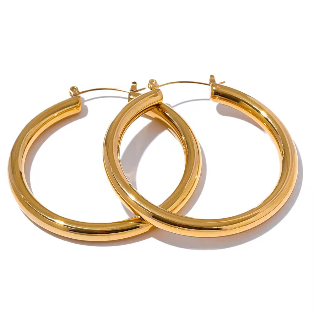 Premium stainless steel earrings finished with 18k gold plating