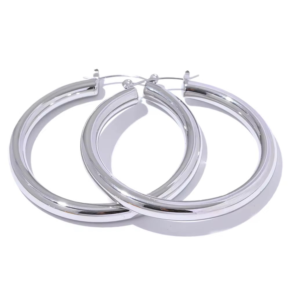 Premium stainless steel earrings with platinum plating
