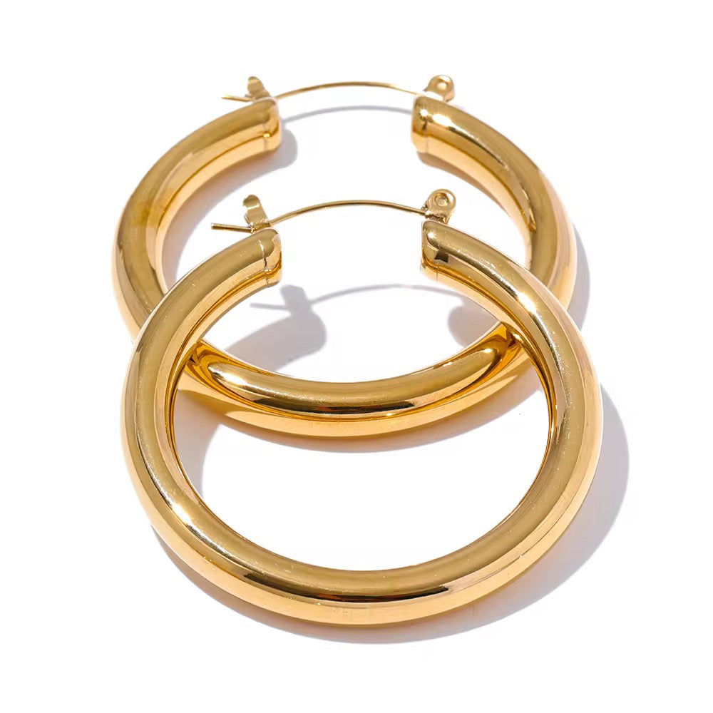 Premium stainless steel earrings finished with 18k gold plating