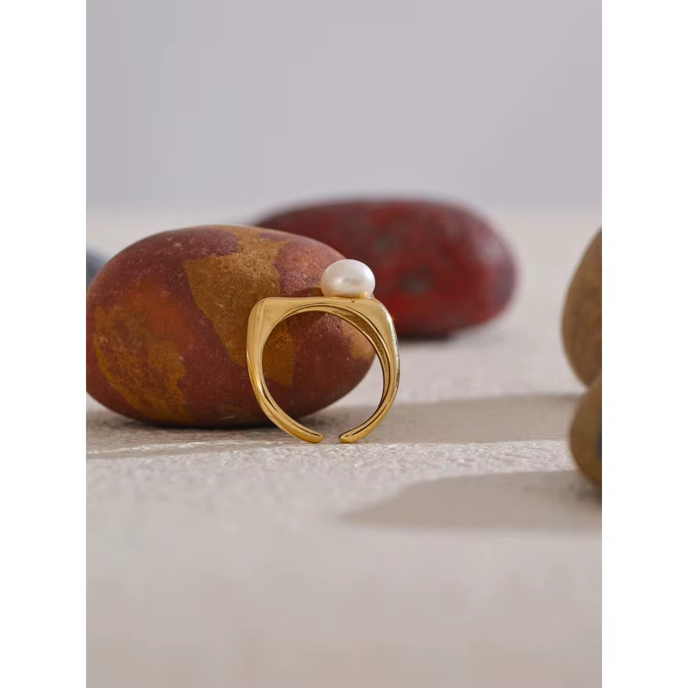 Premium stainless steel ring finished with 18k gold plating